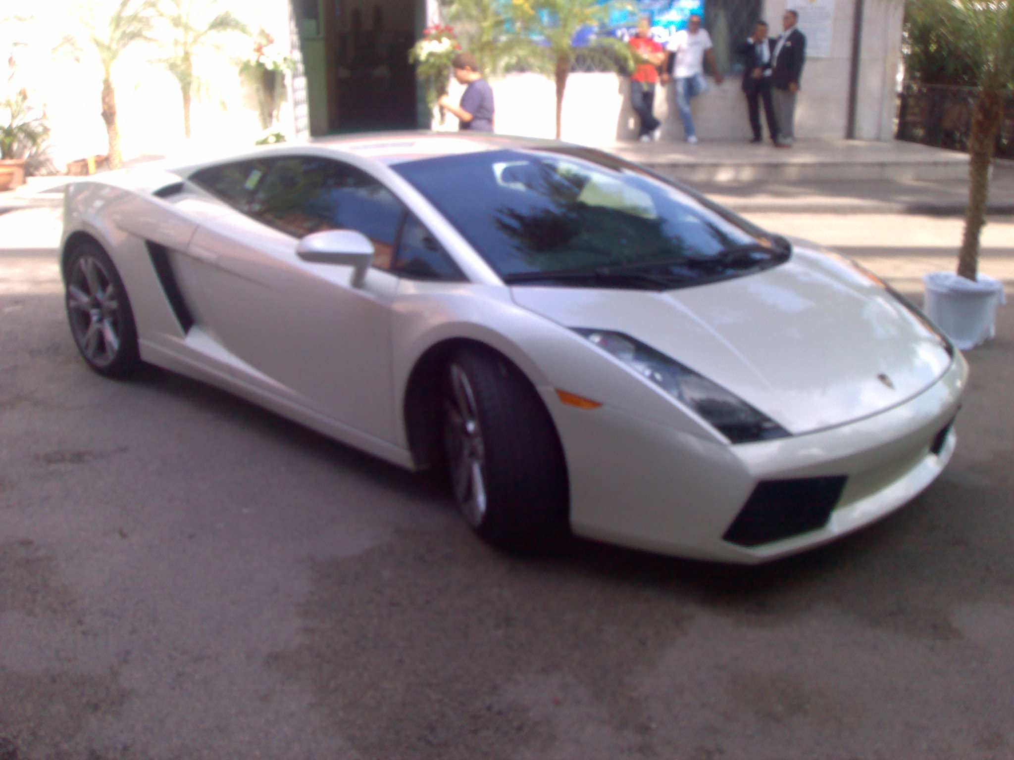 lamborghini gallardo